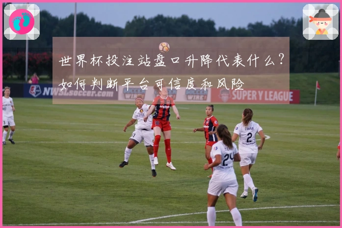 世界杯投注站盘口升降代表什么？如何判断平台可信度和风险