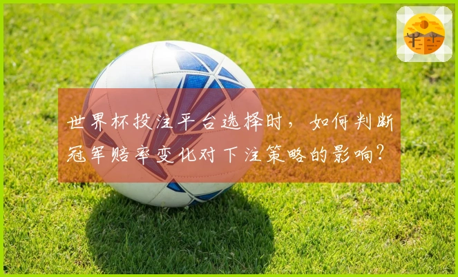 世界杯投注平台选择时，如何判断冠军赔率变化对下注策略的影响？