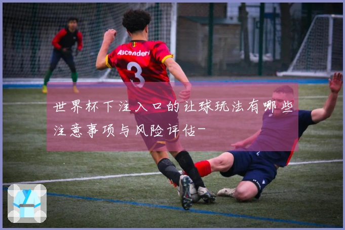 世界杯下注入口的让球玩法有哪些注意事项与风险评估-