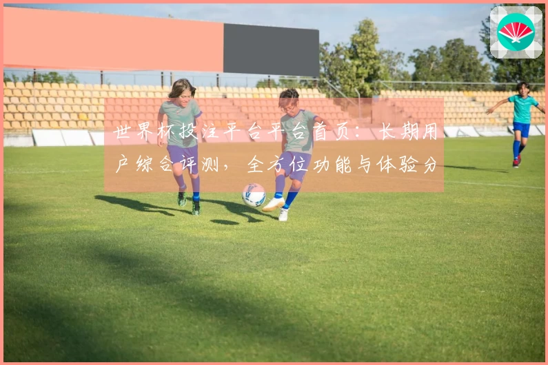 世界杯投注平台平台首页：长期用户综合评测，全方位功能与体验分享
