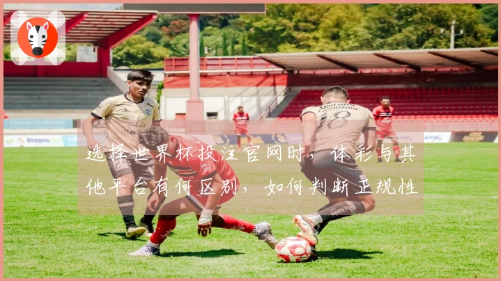 选择世界杯投注官网时，体彩与其他平台有何区别，如何判断正规性？