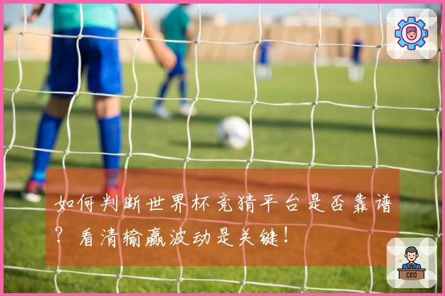 如何判断世界杯竞猜平台是否靠谱？看清输赢波动是关键！