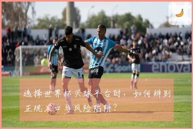 选择世界杯买球平台时，如何辨别正规入口与风险陷阱？