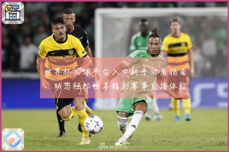 世界杯买球平台入口新手必看指南，助您轻松畅享精彩赛事直播体验