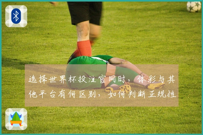 选择世界杯投注官网时，体彩与其他平台有何区别，如何判断正规性？