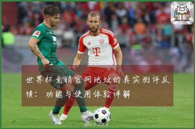 世界杯竞猜官网地址的真实测评反馈：功能与使用体验详解