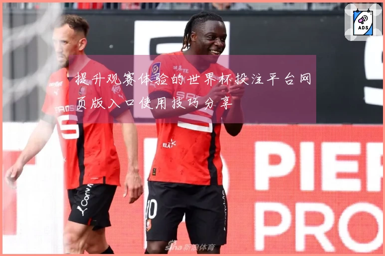 提升观赛体验的世界杯投注平台网页版入口使用技巧分享