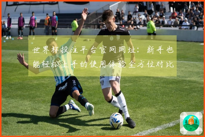 世界杯投注平台官网网址：新手也能轻松上手的使用体验全方位对比