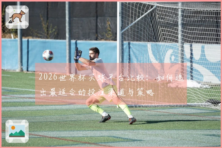 2026世界杯买球平台比较：如何选出最适合的投注渠道与策略