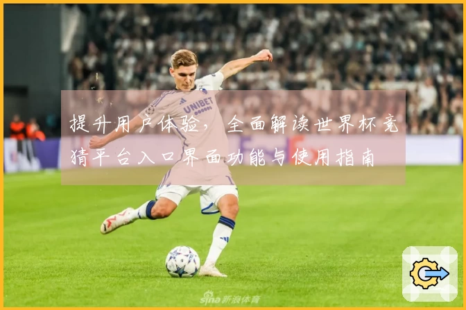 提升用户体验，全面解读世界杯竞猜平台入口界面功能与使用指南