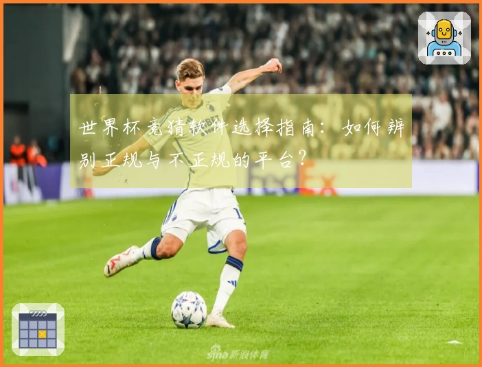 世界杯竞猜软件选择指南：如何辨别正规与不正规的平台？