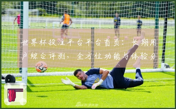 世界杯投注平台平台首页：长期用户综合评测，全方位功能与体验分享