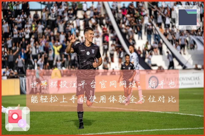 世界杯投注平台官网网址：新手也能轻松上手的使用体验全方位对比