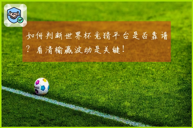 如何判断世界杯竞猜平台是否靠谱?看清输赢波动是关键!