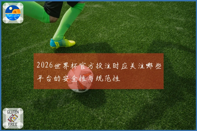 2026世界杯官方投注时应关注哪些平台的安全性与规范性