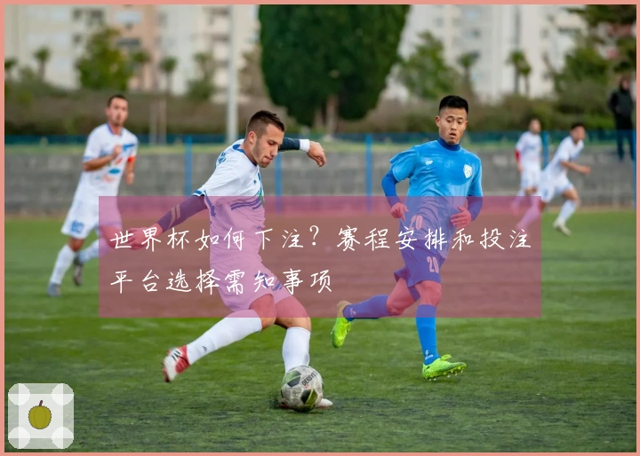 世界杯如何下注？赛程安排和投注平台选择需知事项