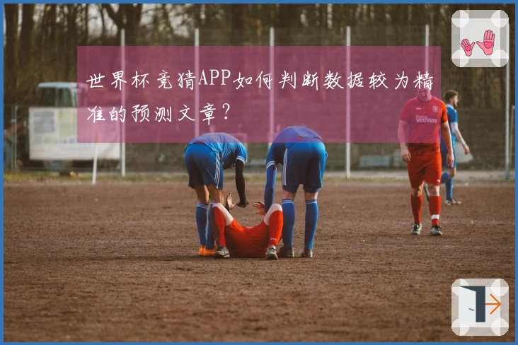 世界杯竞猜APP如何判断数据较为精准的预测文章？