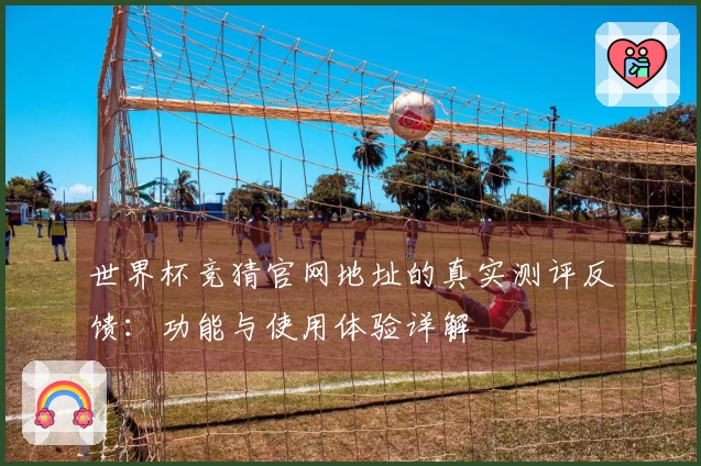 世界杯竞猜官网地址的真实测评反馈：功能与使用体验详解