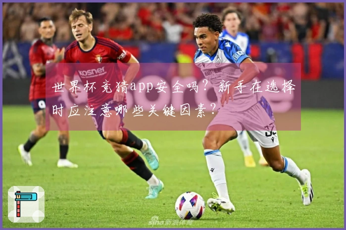 世界杯竞猜app安全吗？新手在选择时应注意哪些关键因素？