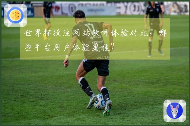 世界杯投注网站软件体验对比,哪些平台用户体验更佳?